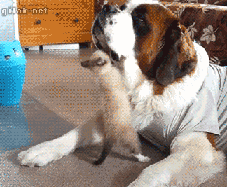 post-130-0-33862000-1425727947.gif
