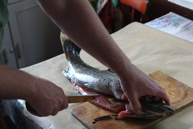 С вечера пойманная кумжа, присыпанная солью, перцем и сахаром, через несколько часов становится деликатесом