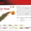 Bugsy Shad. Стр. 4