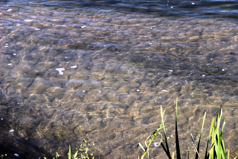 Перекат прозрацная вода. Красивая Меча