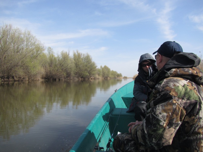 Движемся по протокам, ищем рыбу