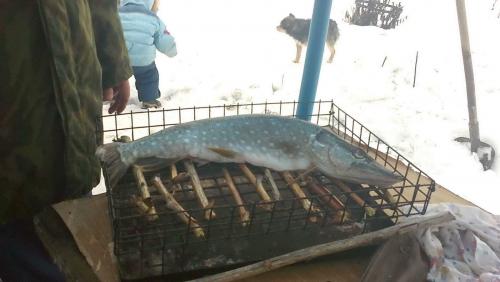 07012012290ф.jpg