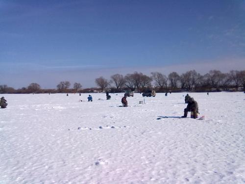 10032013673.jpg