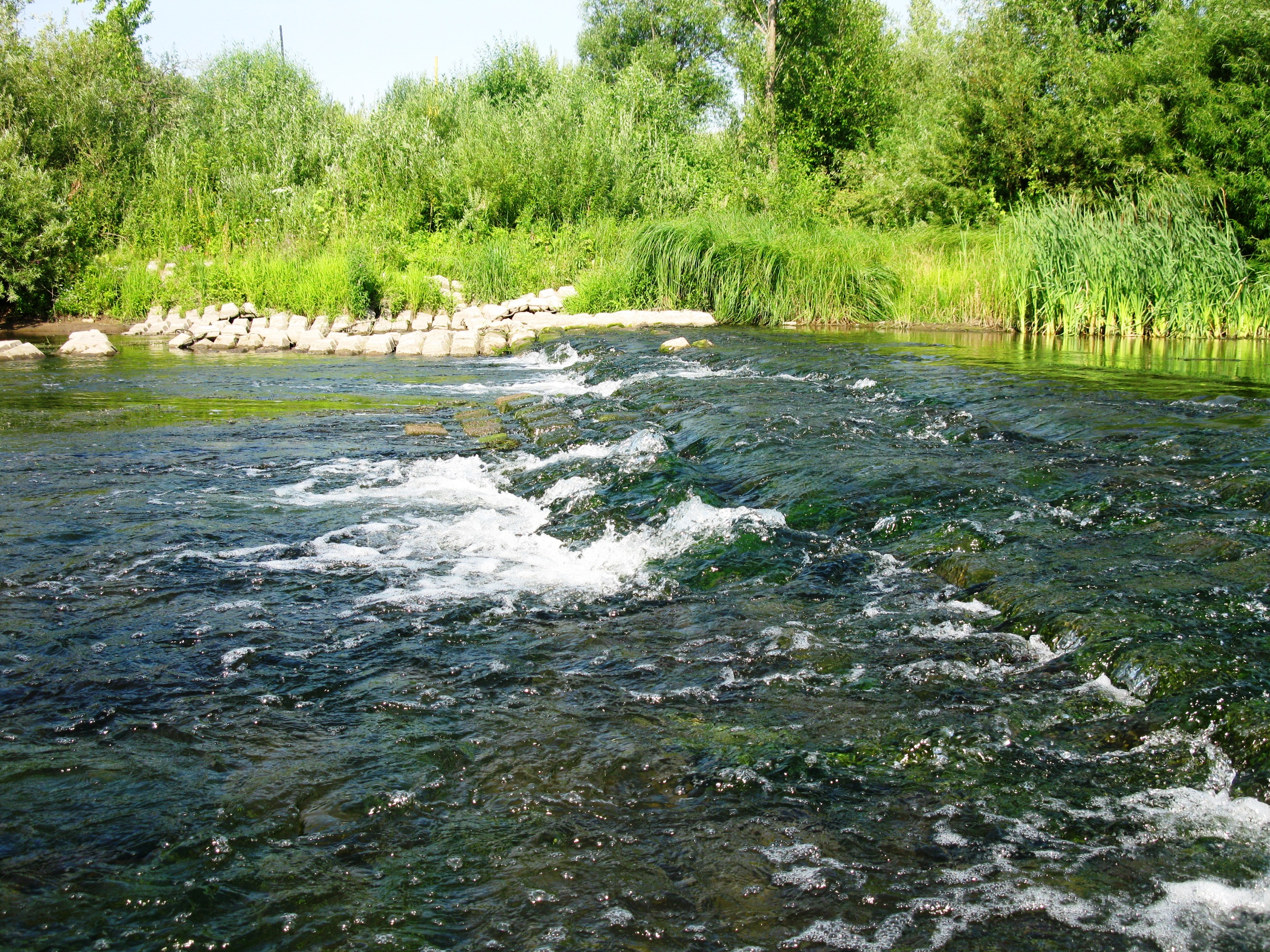 Река Проня