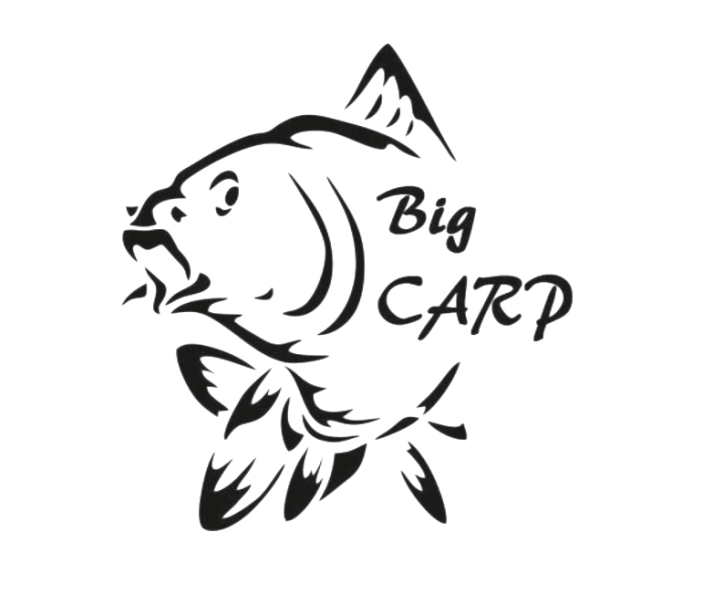 Фотография Big Carp