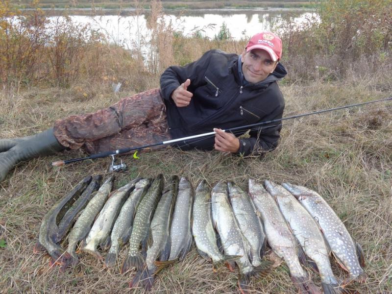 Фотография seregat85